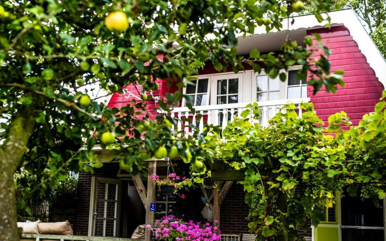 Wijtgaard Bed & Breakfast "Bij Lucie" מראה חיצוני תמונה